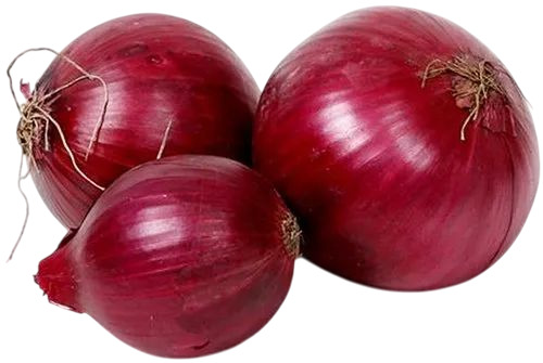 Fresh Onion