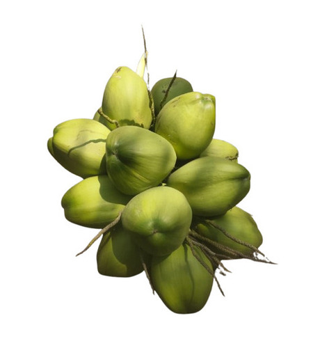 Tender Coconut