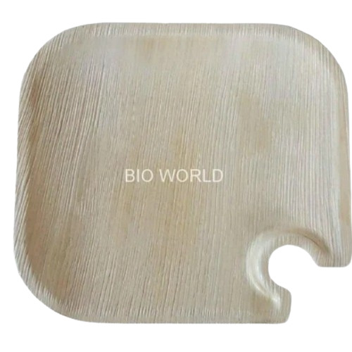 Palm Eco Leaf Plates