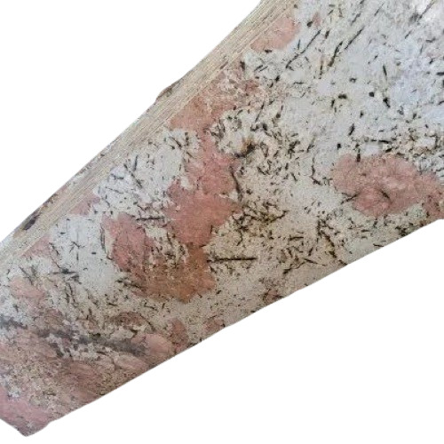 Armani White Granite Slab