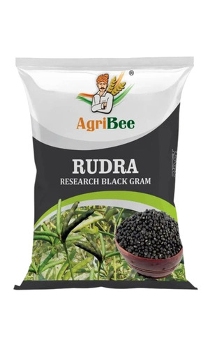 Black Gram Seed