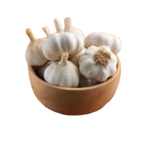 Fresh Garlic