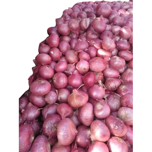 Fresh Onions