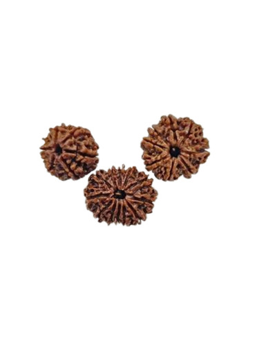 Rudraksha Kavach