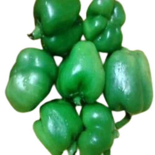 Capsicum