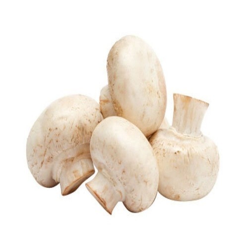 Organic Frozen Mushroom
