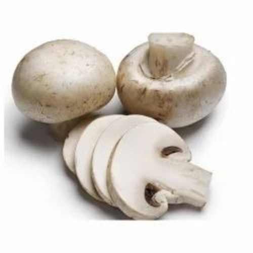 White Button Mushroom