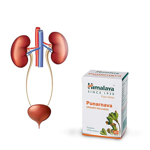 Himalaya Punarnava Tablets 60 Count