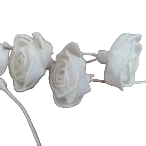 sola flower