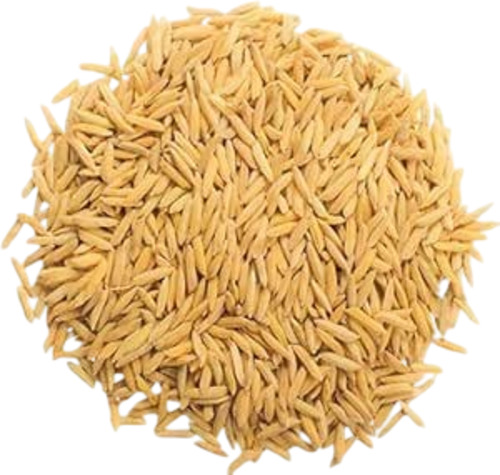 Sambha Paddy Rice