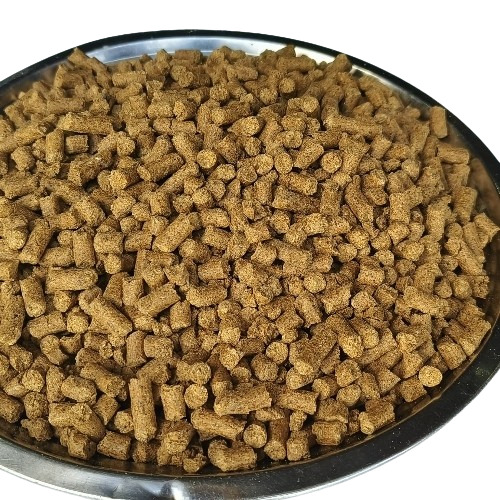Cattle Feed