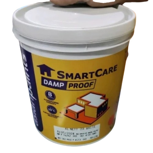 Damp Proof Paint