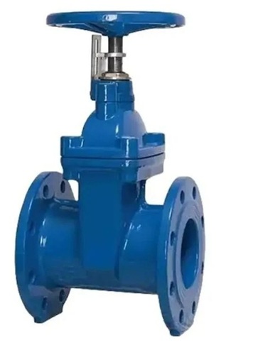 Globe Valve