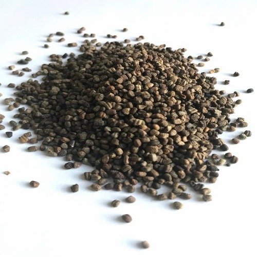 Organic Cardamom Seed