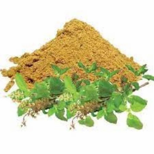 Tulsi Bliss Extract