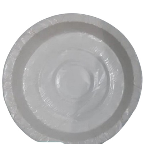 Paper Plate 