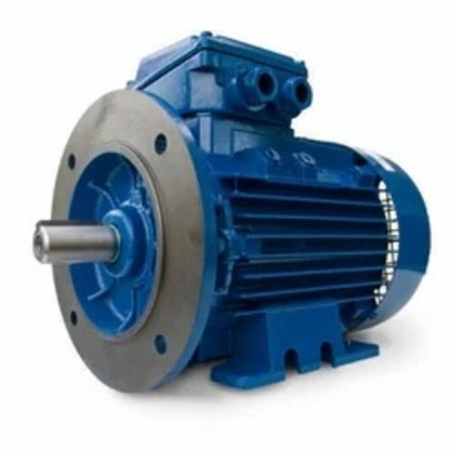 Vertical Induction Motor