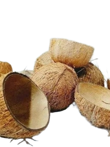 Coconut Shell