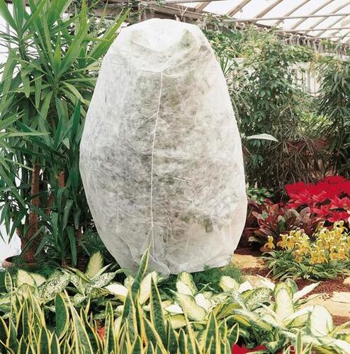 Fruit Cover Bag