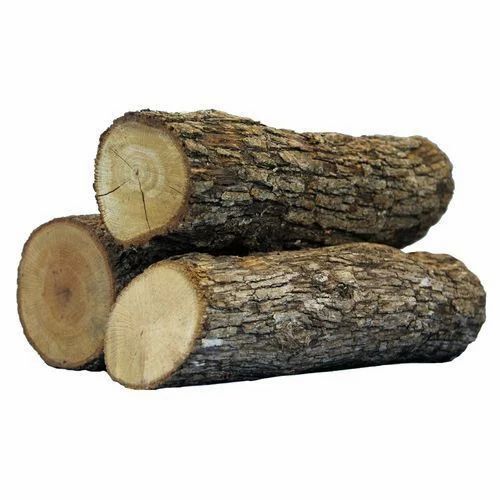 Teak Wood Logs