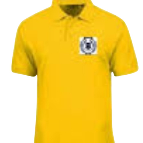 V Neck T Shirt