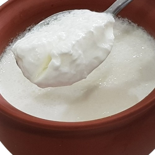 Curd