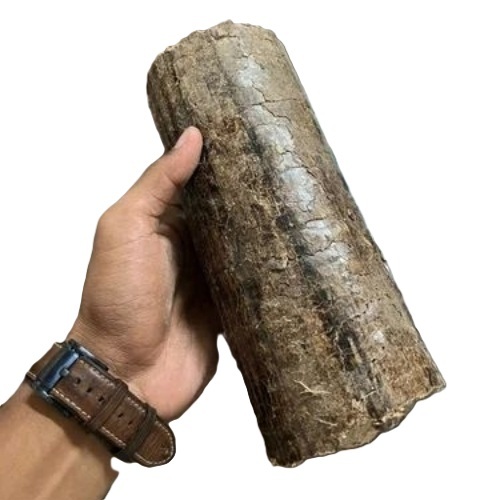 Sawdust Briquette