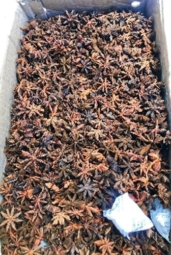 Star Anise