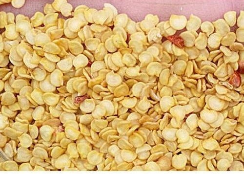 Organic Capsicum Seeds