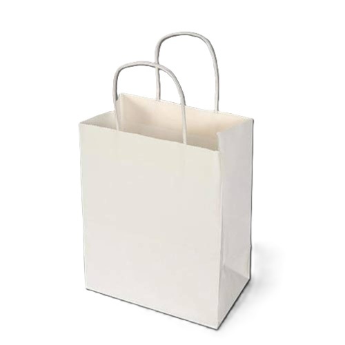 Paper Hand Bag