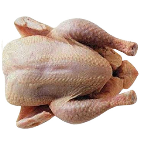 Frozen Chicken - Usage: Household