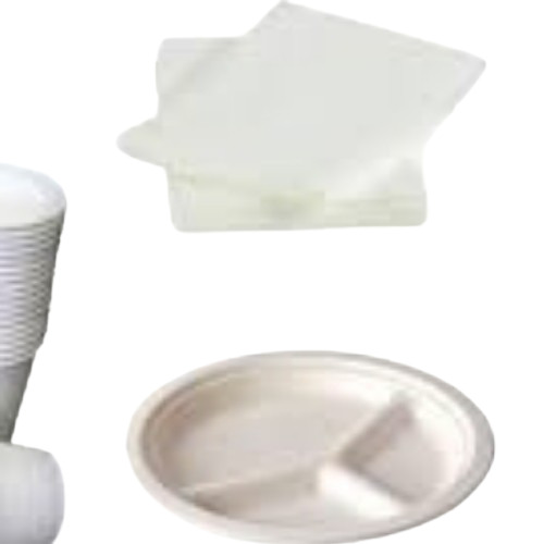 Plain Disposable Plates 