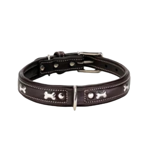 Dog Collars
