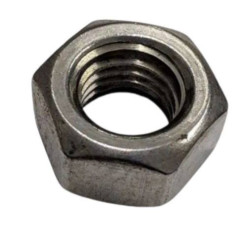 Stainless Steel Hex Nut