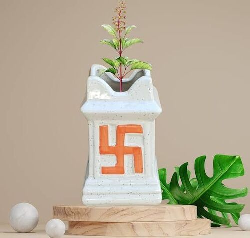 Tulsi Plant - Green, Standard Size | Natural Plant, Good Quality