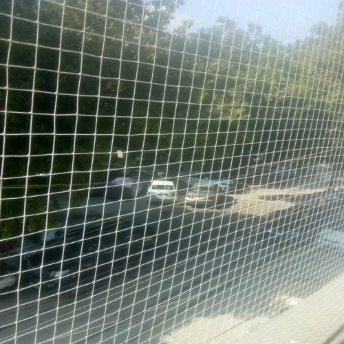 Bird Protection Net