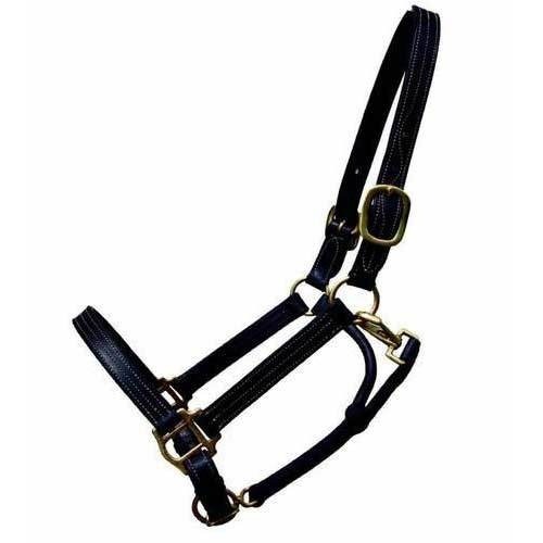 Cushion Web Halter