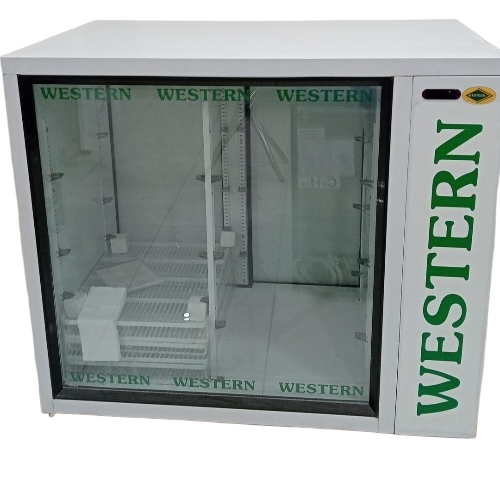 Frost Free Visi Cooler