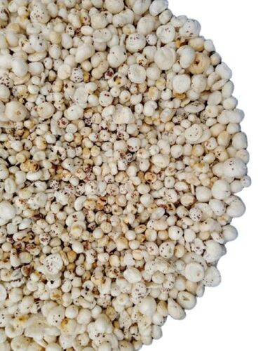 Fresh Makhana