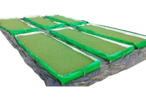 Hdpe Azolla Beds