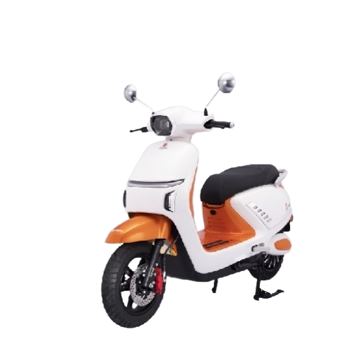 Roma N Electric Bike