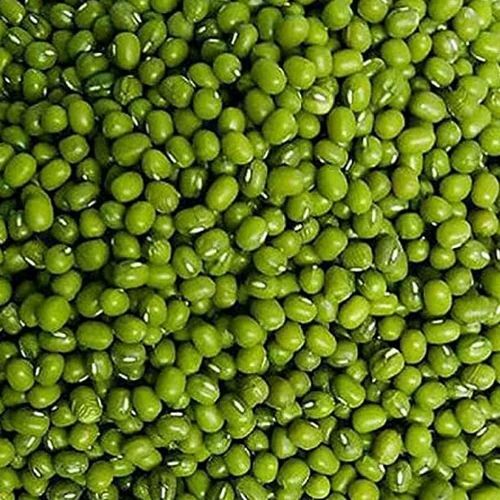Moong Dal - Cultivation Type: Common