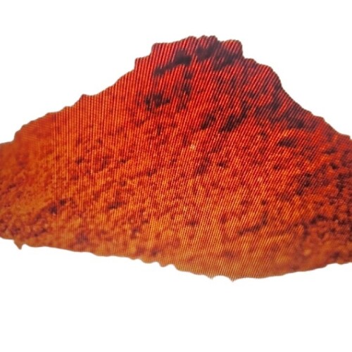Red Chilli Powder - Grade: Food