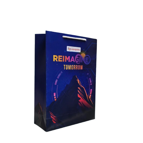Premium Multicolor Paper Bag - Feature: Biodegradable