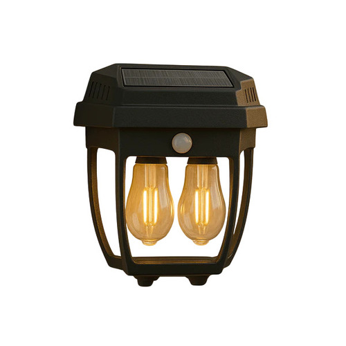 Solar Induction Dual Bulbs Wall Lamp - Color: Black