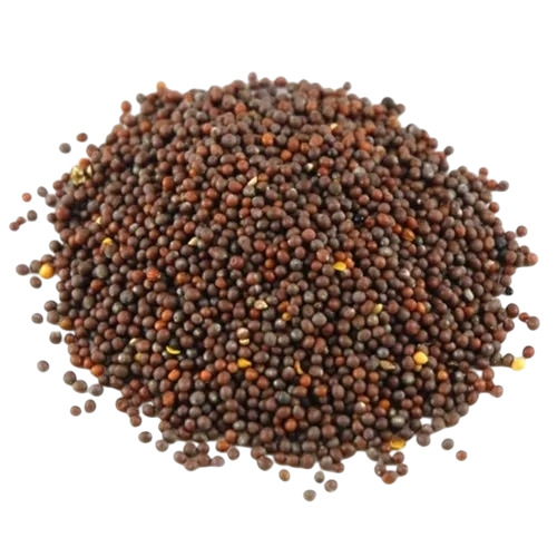 Brown Mustard Seeds