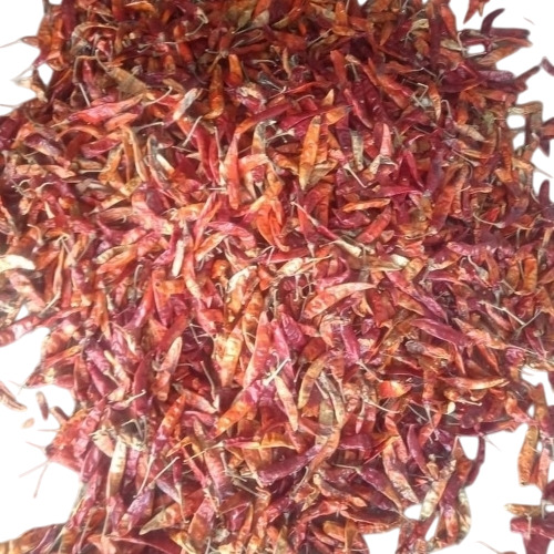 Dry Red Chilli