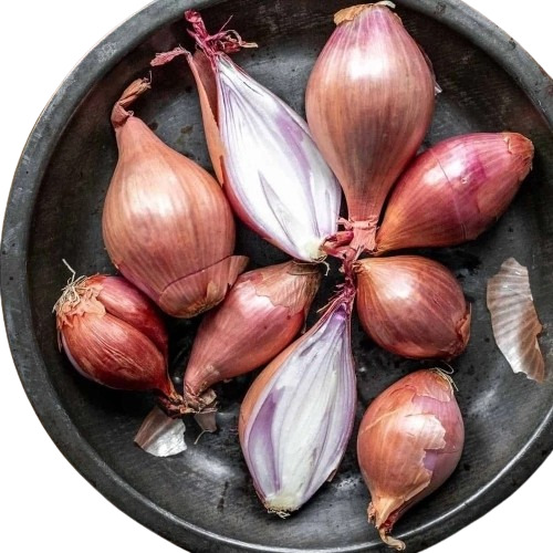 Red Shallots Onion