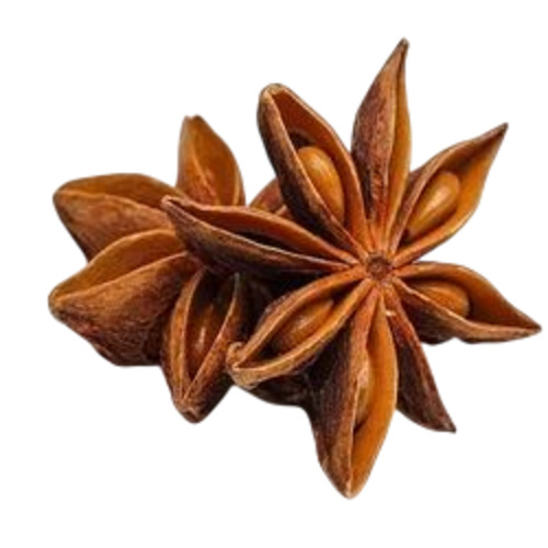 Star Anise Seed - Color: Brown