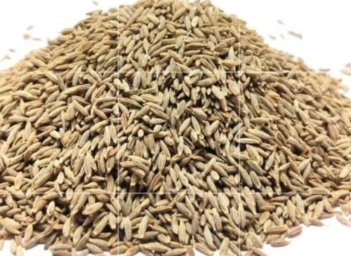 Cumin Seed